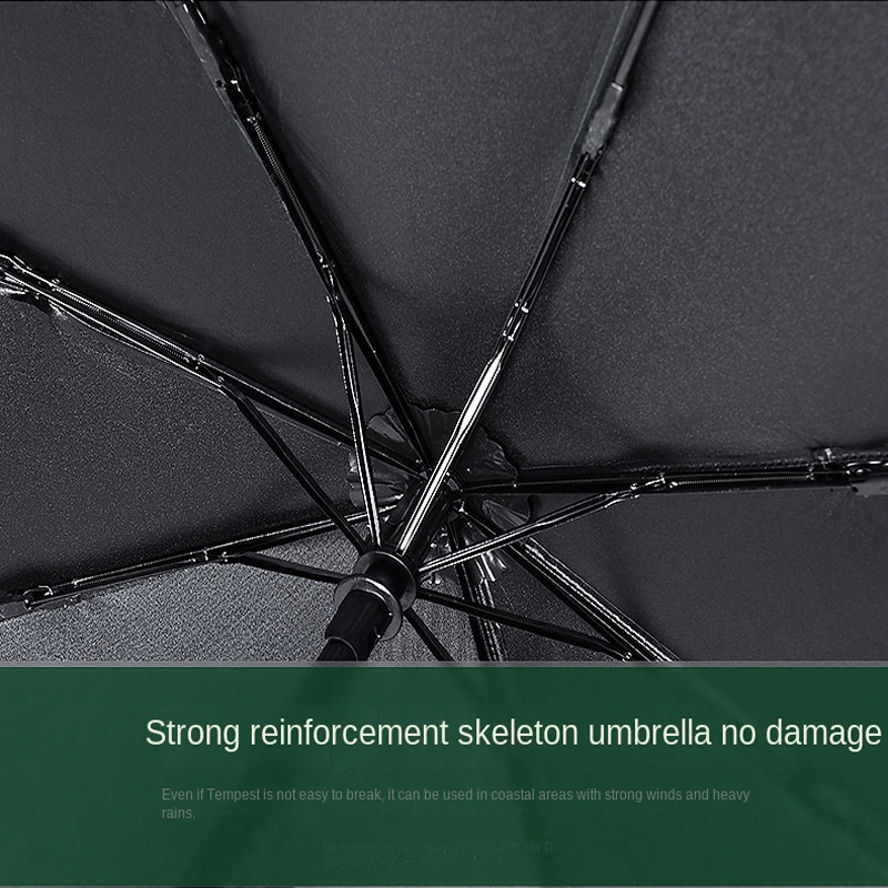 Automatische paraplu