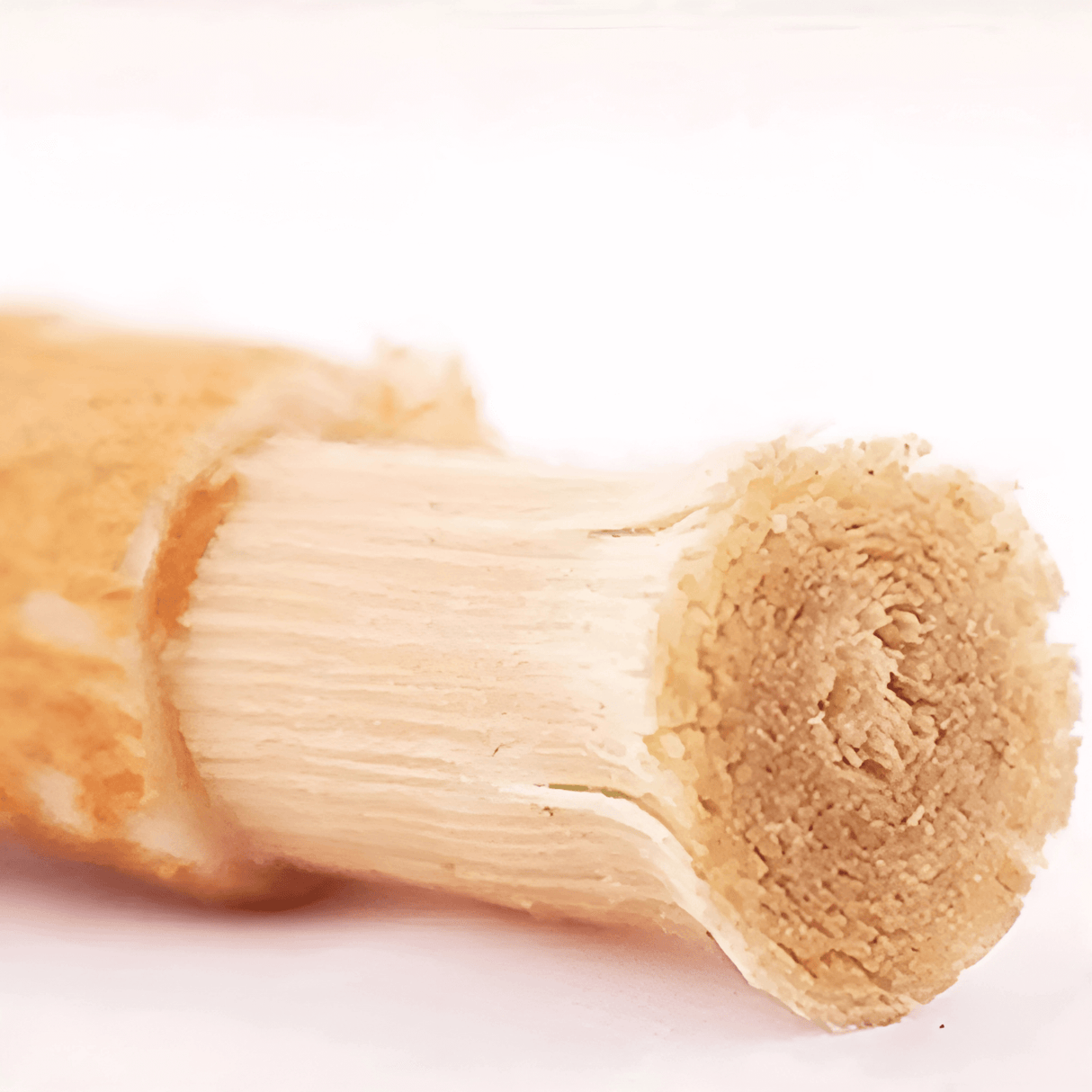 HerbaBrush – Naturlig Tandborste av Miswak för Traditionell Munvård och Resa