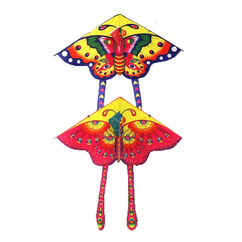 Vliegende vlindervliegers