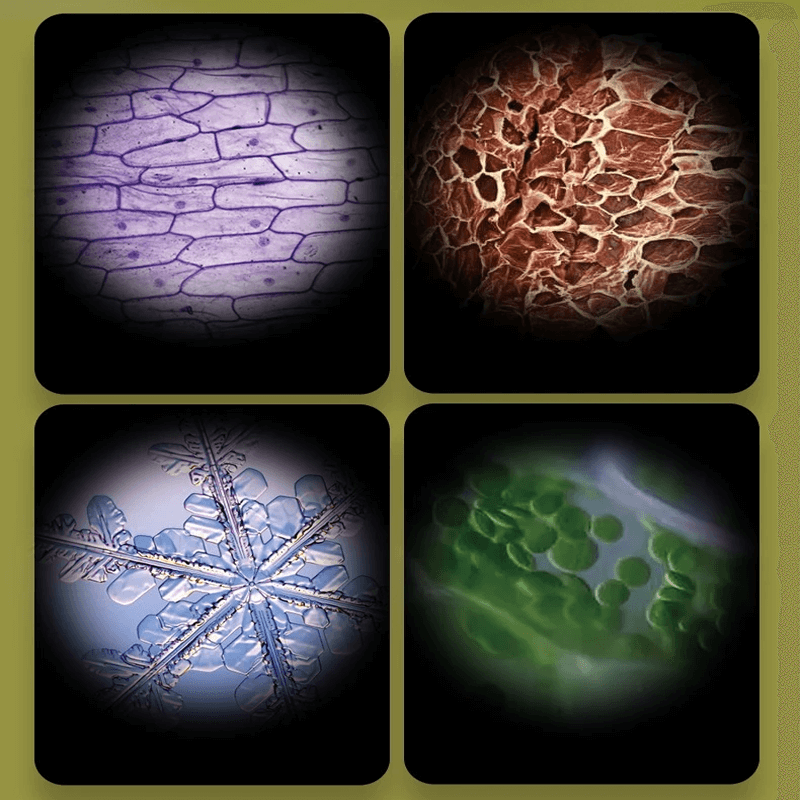 Mini handheld microscoop speelgoed