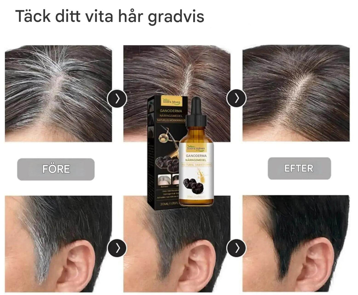 ToneRoot Serum - Haarserum voor grijs en wit haar | Natuurlijke kleurverbetering en hoofdhuidvoeding