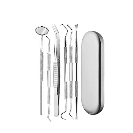 Professionele Roestvrij staal Dental Tools tandheelkundige zorg Kit