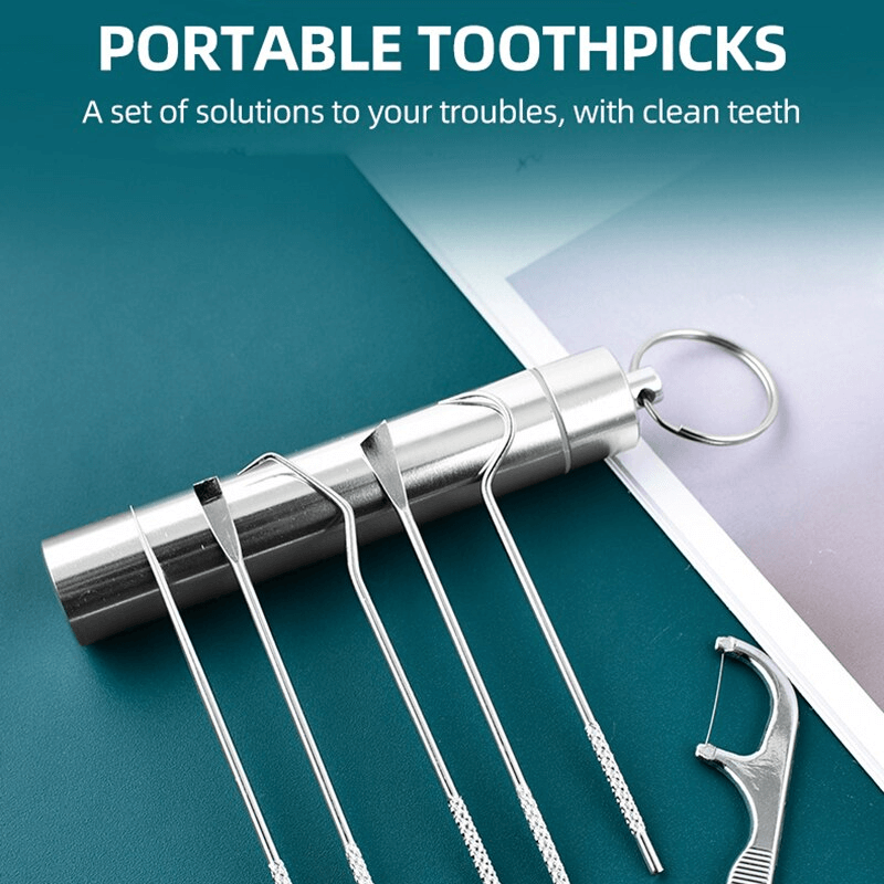 Roestvrijstalen tandenstoker set herbruikbaar