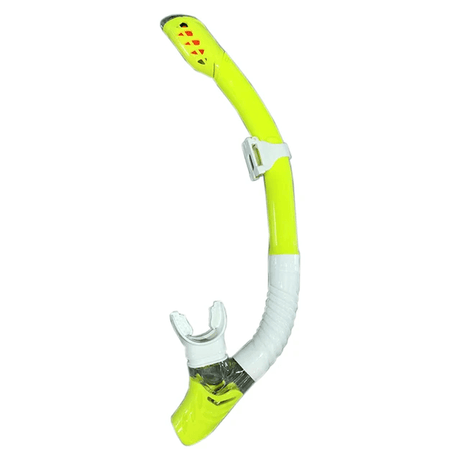 Professioneel duiken Snorkelen
