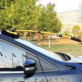Autoreinigingsborstel met handvat