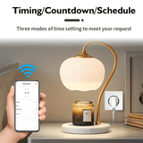 Slimme wifi-contactdoos 16A/20A - Spraakgestuurde contactdoosadapter