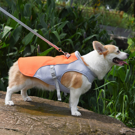 Koelvest voor honden