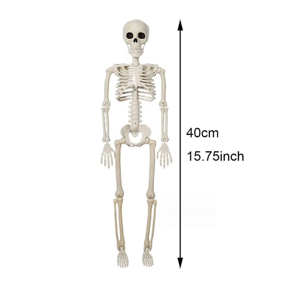 Halloween Decoratie: Menselijk Skelet 40 cm - Realistisch Skelet voor Enge Decoratie