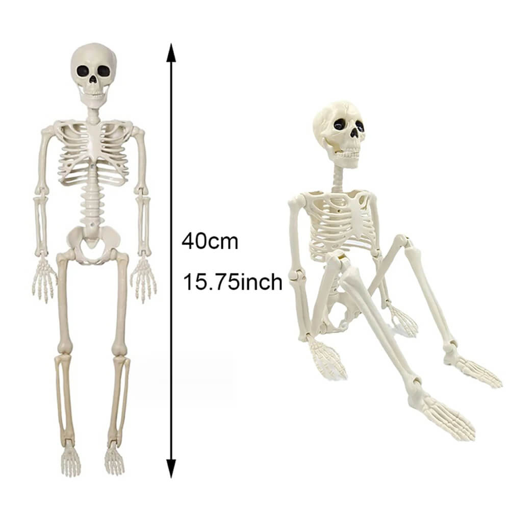 Halloween Decoratie: Menselijk Skelet 40 cm - Realistisch Skelet voor Enge Decoratie