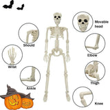 Halloween Decoratie: Menselijk Skelet 40 cm - Realistisch Skelet voor Enge Decoratie