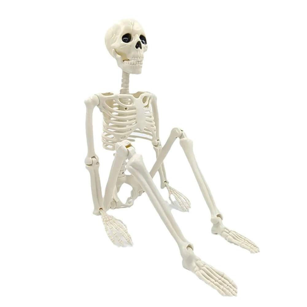 Halloween Decoratie: Menselijk Skelet 40 cm - Realistisch Skelet voor Enge Decoratie